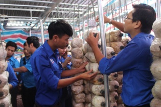 Hỗ trợ thanh niên khởi nghiệp tiếp cận các nguồn vốn và phát triển kênh phân phối