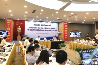 Có thể điều chỉnh chiến lược và chính sách để giảm khó khăn cho doanh nghiệp