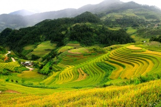 Quy chế hoạt động của Hội đồng điều phối vùng trung du và miền núi phía Bắc