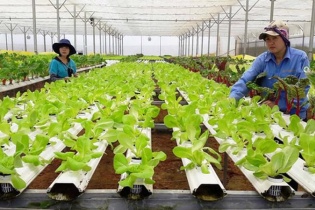 Cắt giảm, đơn giản hóa quy định hoạt động kinh doanh thuộc quản lý của MPI