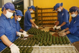 Doanh nghiệp phục vụ quốc phòng, an ninh được ưu đãi tiền thuê đất, tiền sử dụng đất