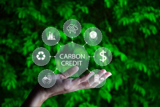 Thủ tướng yêu cầu hoàn thiện Đề án phát triển thị trường các-bon tại Việt Nam