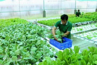 Sản phẩm nông nghiệp hữu cơ tăng hơn 418% giá trị xuất khẩu