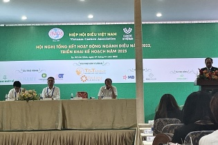 Xuất khẩu điều gặp khó, Hiệp hội Điều Việt Nam đặt mục tiêu khiêm tốn cho 2023