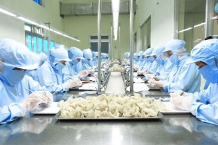 Hoàn thiện chuỗi cung ứng tổ yến, đáp ứng tiêu chuẩn xuất khẩu chính ngạch