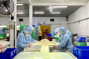 Doanh nghiệp nhỏ và vừa khó tiếp cận thị trường Nhật Bản và Hàn Quốc