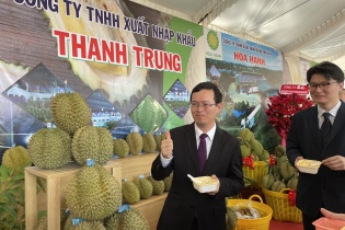 Đồng Nai xuất khẩu chuyến sầu riêng đầu tiên sang thị trường Trung Quốc