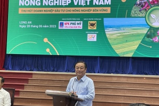 Bộ trưởng Lê Minh Hoan: Thu hút “đại bàng” đừng quên “chim sẻ”