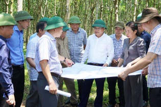 Quảng Trị: Hoàn thành 73,9% tiến độ giải phóng mặt bằng Dự án cao tốc Bắc - Nam