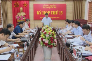 Nghệ An: Đề nghị xem xét, kỷ luật nhiều tổ chức, cá nhân