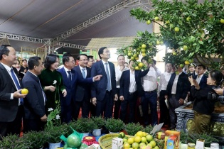 Hội chợ quảng bá sản phẩm nông nghiệp Nghệ An diễn ra từ ngày 5-11/11/2025