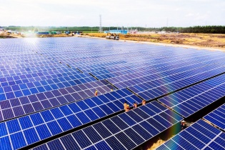 Bamboo Capital chuẩn bị chào bán 500 tỷ đồng trái phiếu ra công chúng 