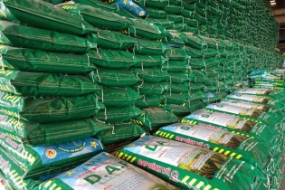 Đẩy mạnh xuất khẩu phân bón, DAP Vinachem lãi quý I gấp 4 lần cùng kỳ 