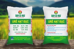 Thêm một doanh nghiệp điều chỉnh chỉ tiêu lợi nhuận vào "phút chót"