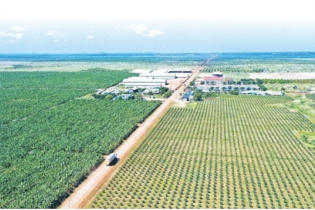 HAGL dùng 20 triệu cổ phần công ty con làm tài sản đảm bảo nghĩa vụ nợ