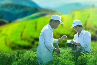 Traphaco đặt mục tiêu lợi nhuận tăng trưởng, cổ tức 30% bằng tiền