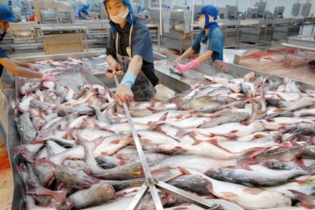 Vĩnh Hoàn sắp phát hành 3,6 triệu cổ phiếu ESOP 