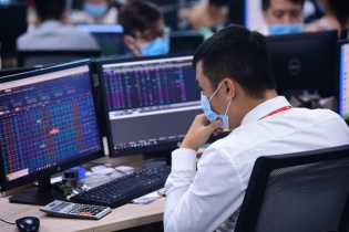 Cổ phiếu NEM quay đầu giảm sàn sau 13 phiên tăng trần liên tục