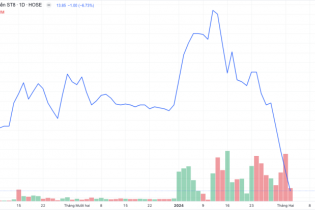 Cổ phiếu ST8 bị bán tháo khi doanh nghiệp báo lãi giảm 53 lần