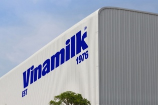 Vinamilk đang giữ gần 1 tỷ đô tiền mặt và tiền gửi ngân hàng