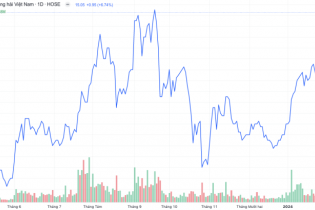 Cổ phiếu MSB khớp lệnh kỷ lục ngay phiên đầu năm Giáp Thìn
