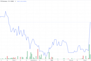 Cổ phiếu Xuất nhập khẩu Y tế Domesco (DMC) liên tục lội ngược dòng thị trường