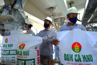 Đạm Cà Mau sắp dành hơn 1.000 tỷ đồng chia cổ tức