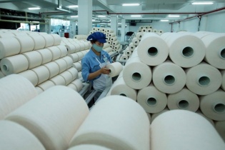Sợi Thế Kỷ lỗ nặng trong nửa năm