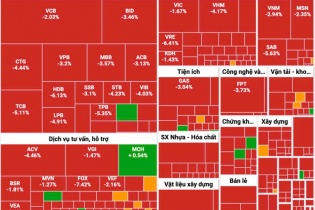 448 cổ phiếu giảm khiến VN-Index mất 48 điểm phiên đầu tuần