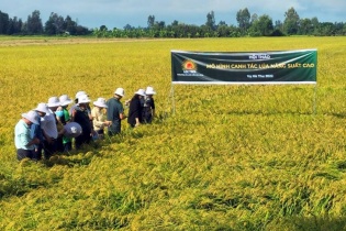 Lộc Trời đề nghị biện pháp ngăn chặn cựu CEO Nguyễn Duy Thuận