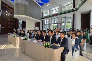 Chứng khoán DSC chính thức chào sàn HOSE, lãi quý III/2024 tăng trưởng 83%