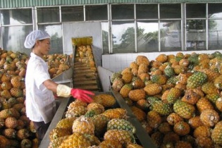 Thu hồi giấy phép dự án 4 năm dậm chân tại chỗ