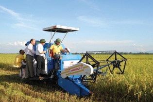 Dự án nông nghiệp liên kết được vay 70-80% vốn không thế chấp