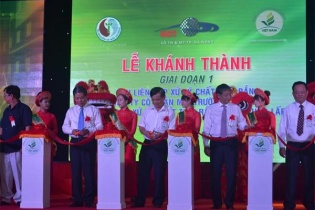 Đà Nẵng vận hành Nhà máy xử lý chất thải rắn công suất 200 tấn rác/ngày