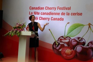 Anh đào Canada chính thức được giới thiệu tại Việt Nam