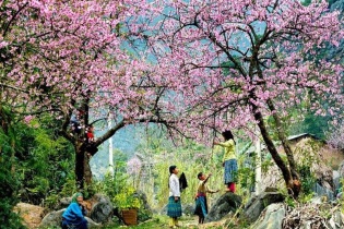 Nhiều tour du lịch mùa Xuân, Tết có giá "mềm"