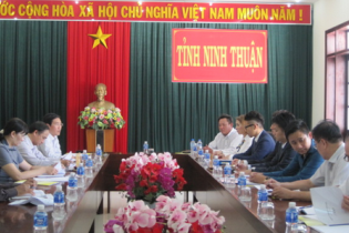 Liên danh Nhật - Việt muốn đầu tư dự án năng lượng tái tạo tại Ninh Thuận