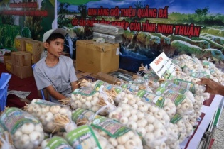 Hội chợ thương mại quốc tế Festival Huế 2016: Hàng giá rẻ, bình dân hút khách