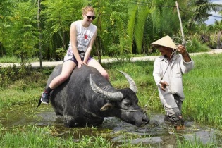 Xây dựng làng du lịch homestay tại Khu sinh thái Cẩm Thanh - Hội An