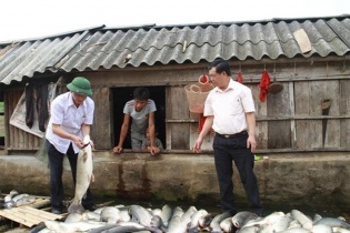 Thanh Hóa: Tìm ra nguyên nhân cá chết trên sông Bưởi