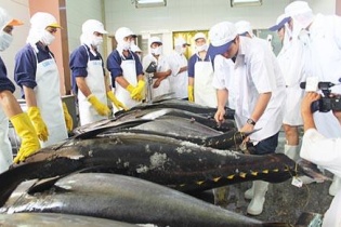 Phú Yên tập trung phát triển 6 ngành mũi nhọn