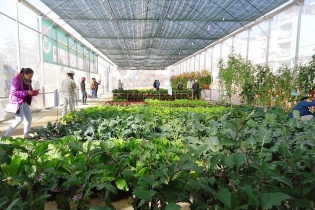 Kon Tum hướng đến phát triển nông nghiệp ứng dụng công nghệ cao