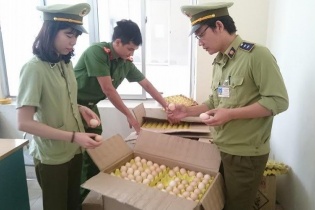 Thanh Hóa: Tiêu hủy gần 5.000 quả trứng gà Trung Quốc