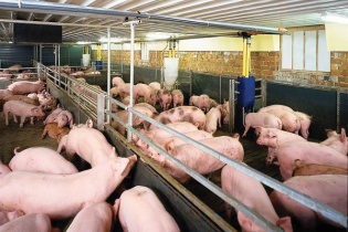 Thanh Hóa hỗ trợ doanh nghiệp đầu tư vào nông nghiệp, nông thôn