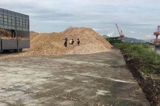 Doanh nghiệp sử dụng đất trái mục đích, bị thu hồi vẫn kêu “cứu”