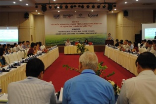 7.000 tỷ đồng tái cơ cấu ngành hàng lúa gạo