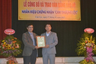 Hà Tĩnh: Cam Thượng Lộc được bảo hộ nhãn hiệu