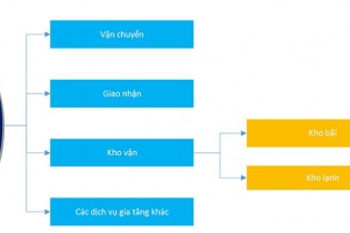 Thị trường kho lạnh Việt Nam: Tiềm năng lớn nhưng cạnh tranh khốc liệt