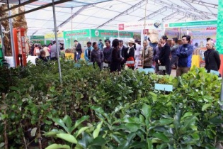 Khai mạc festival quốc tế nông nghiệp vùng ĐBSCL vào ngày 9/3 tới