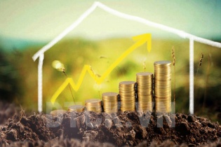 Thanh tra 60 dự án bất động sản: Cần sớm ổn định tâm lý thị trường địa ốc